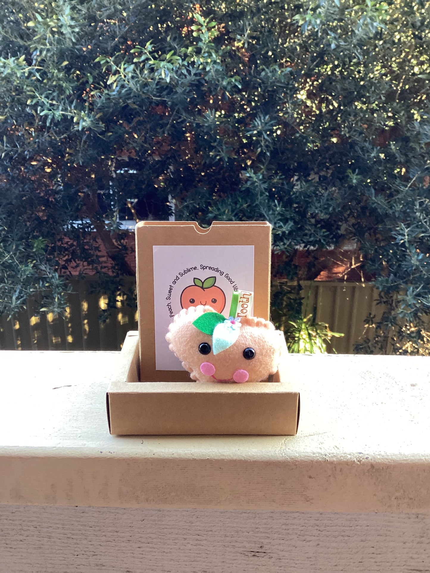 Gift Boxed Positive Peach