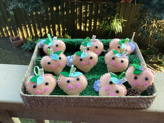 Gift Boxed Positive Peach